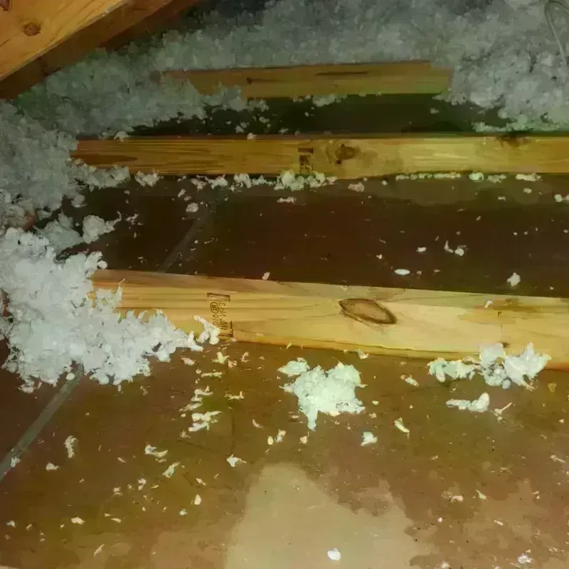 Attic Water Damage in Carolina, PR