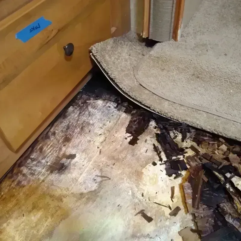 Wood Floor Water Damage in Carolina, PR